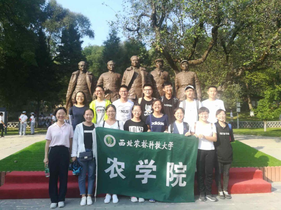 地板冒岩浆无敌版