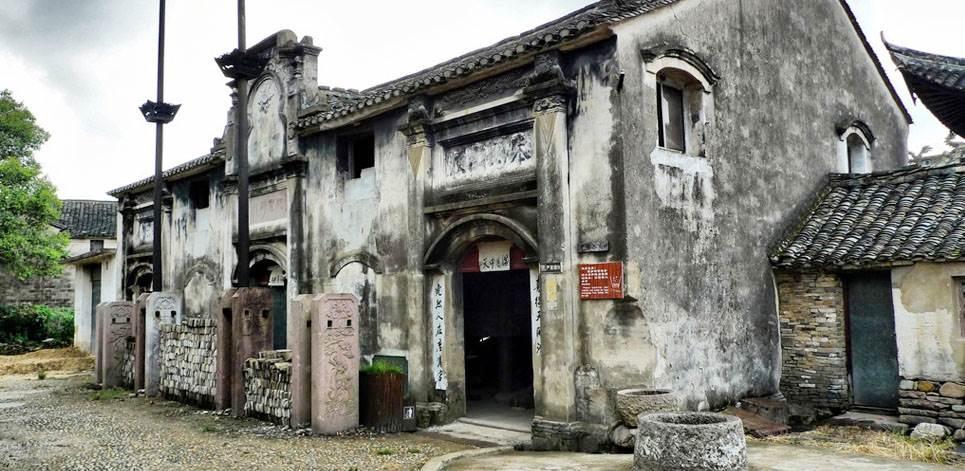 解救金刚鹦鹉